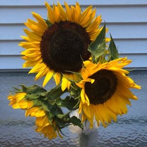 Meet your Posher, Cathy